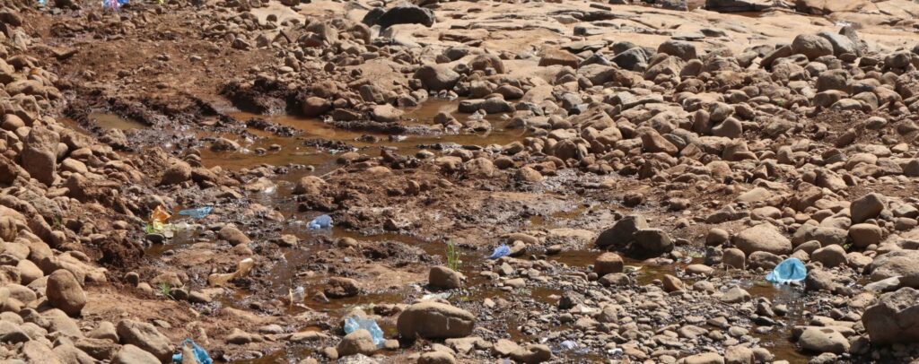Dry Riverbed